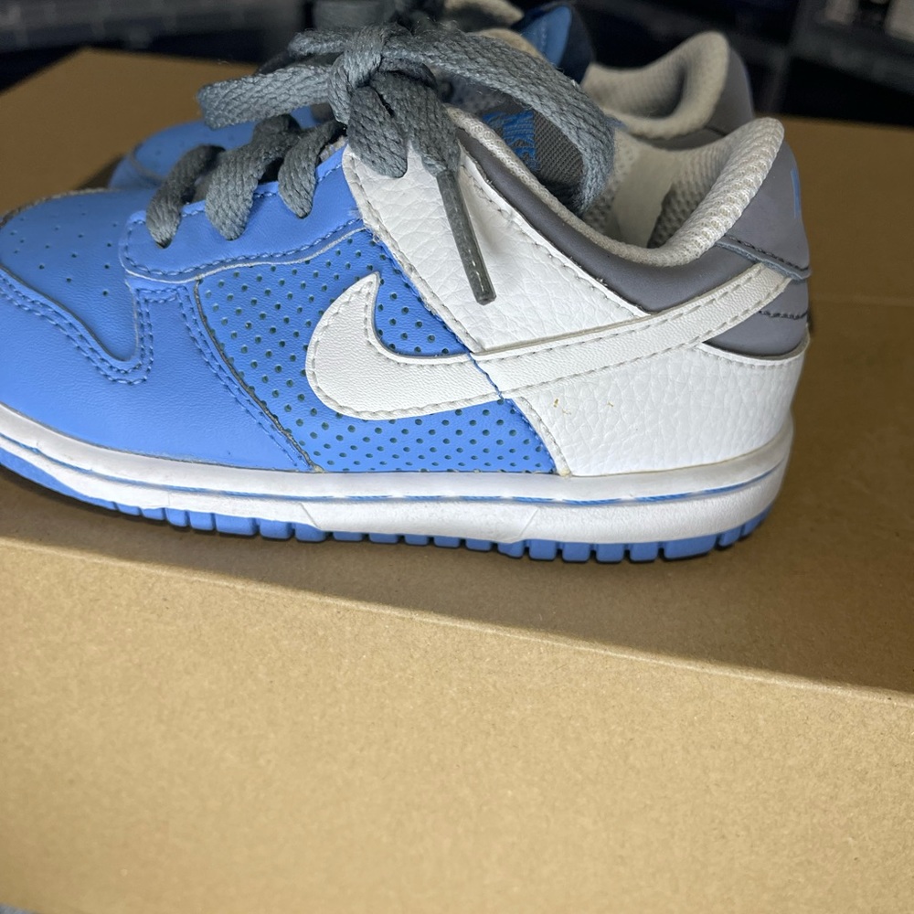Nike dunks kids